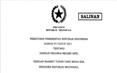 Disiplin PNS